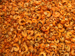 Dry Shrimp (Small) 小号虾干